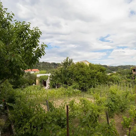 Zeljka Apartamento *