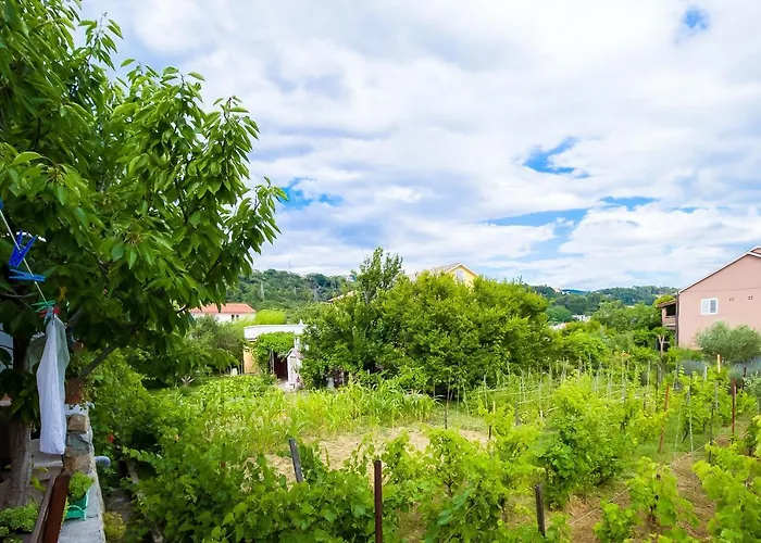 Zeljka Appartement *